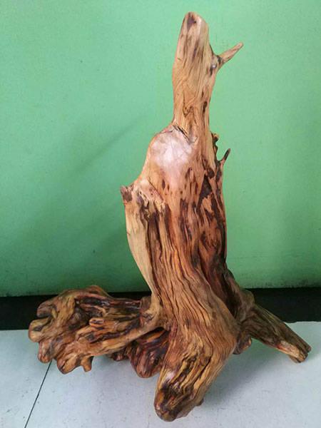 崖柏根艺家马敬科作品欣赏_手机网