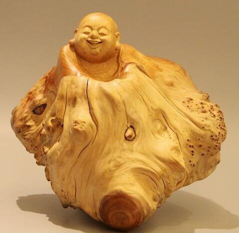 未来弥勒佛与根魂崖柏的前世今生