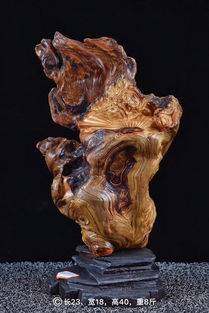 太行崖柏 陈化瘤疤坨 工艺品欣赏