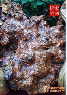 崖柏,崖柏根瘤,崖柏精品,崖柏艺术崖柏根雕