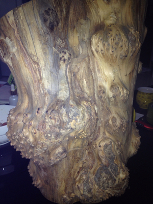 崖柏鉴别指南 如何辨别太行的崖柏