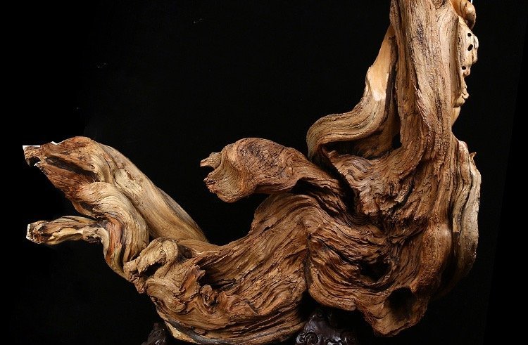 千年崖柏木 太行山陈化料雕件中的鬼斧神工与根艺之美