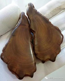 如何判定崖柏是否属于精品 从纹理、香味到艺术价值的综合指南