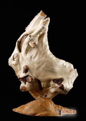 崖柏灵韵，琴心相印——品析太行崖柏《伯牙抚琴》