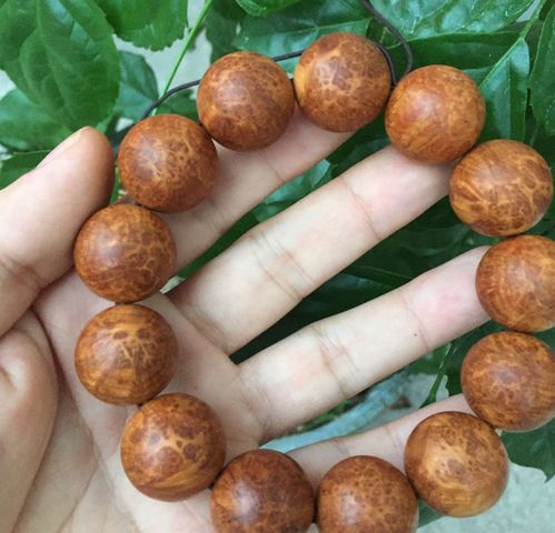 有一种狂热的收藏叫 崖柏陈化料蚂蚁腿瘤疤