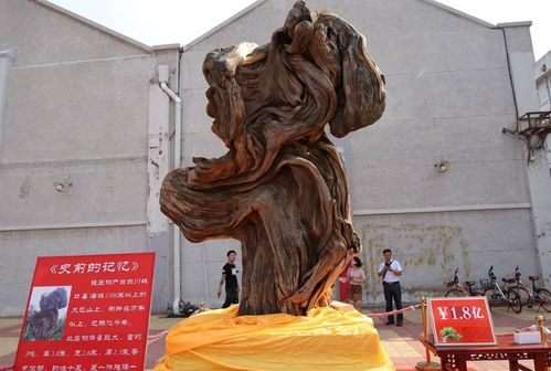 天价文玩层出不穷 崖柏根雕摆件再度拍出高价