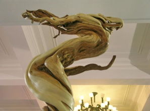 崖柏飞龙在天 3.8亿天价是否名副其实？