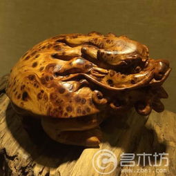 太行崖柏工艺品摆件的艺术魅力 名木坊的匠心之作