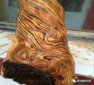 崖柏能否升值？关键就看这五点！