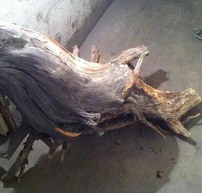 新手必知 崖柏三大养生功效及其他柏香木特点