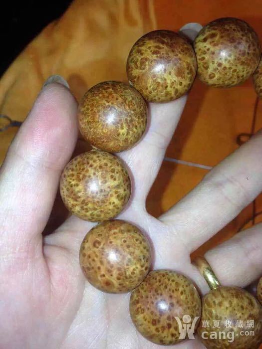 太行崖柏超极品陈化老料2.0